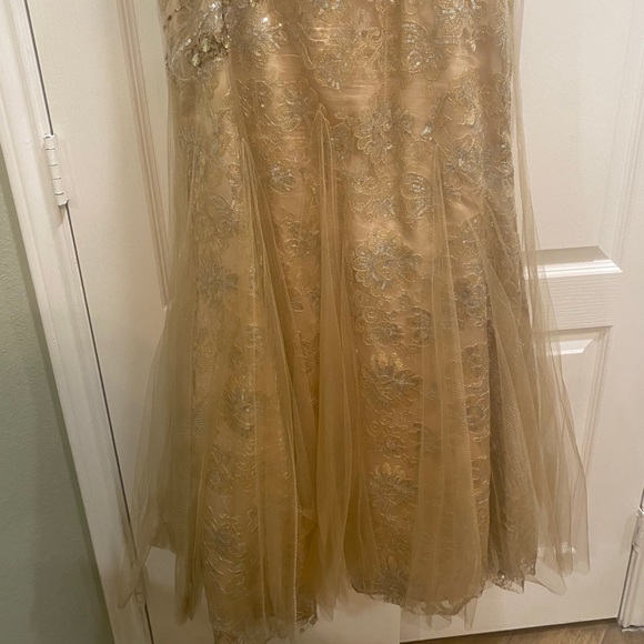 Evening Gown - Picture 8 of 8